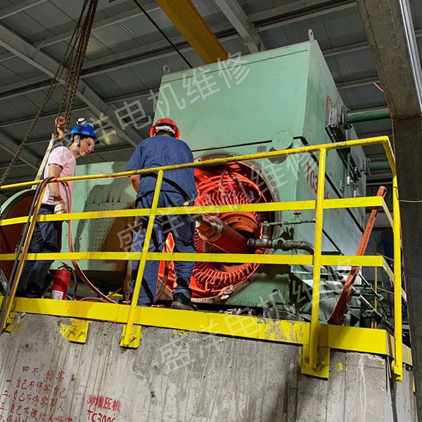 六安专业维修电机