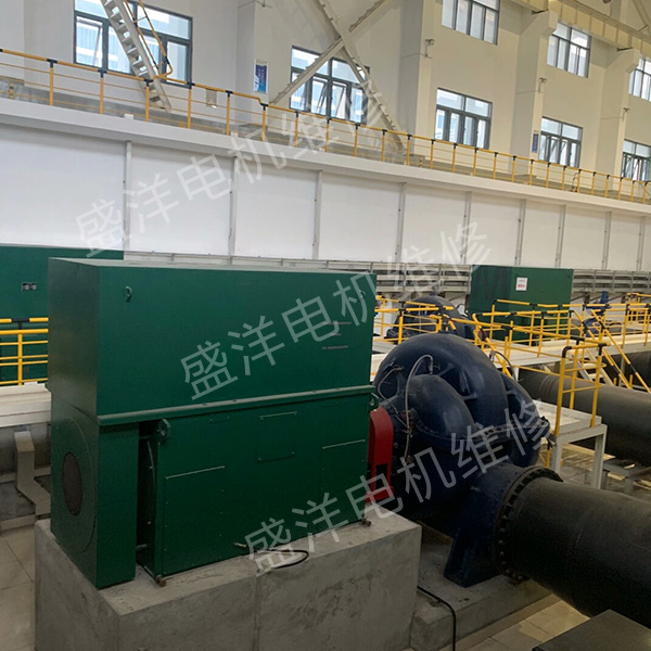 六安大型电机修理公司